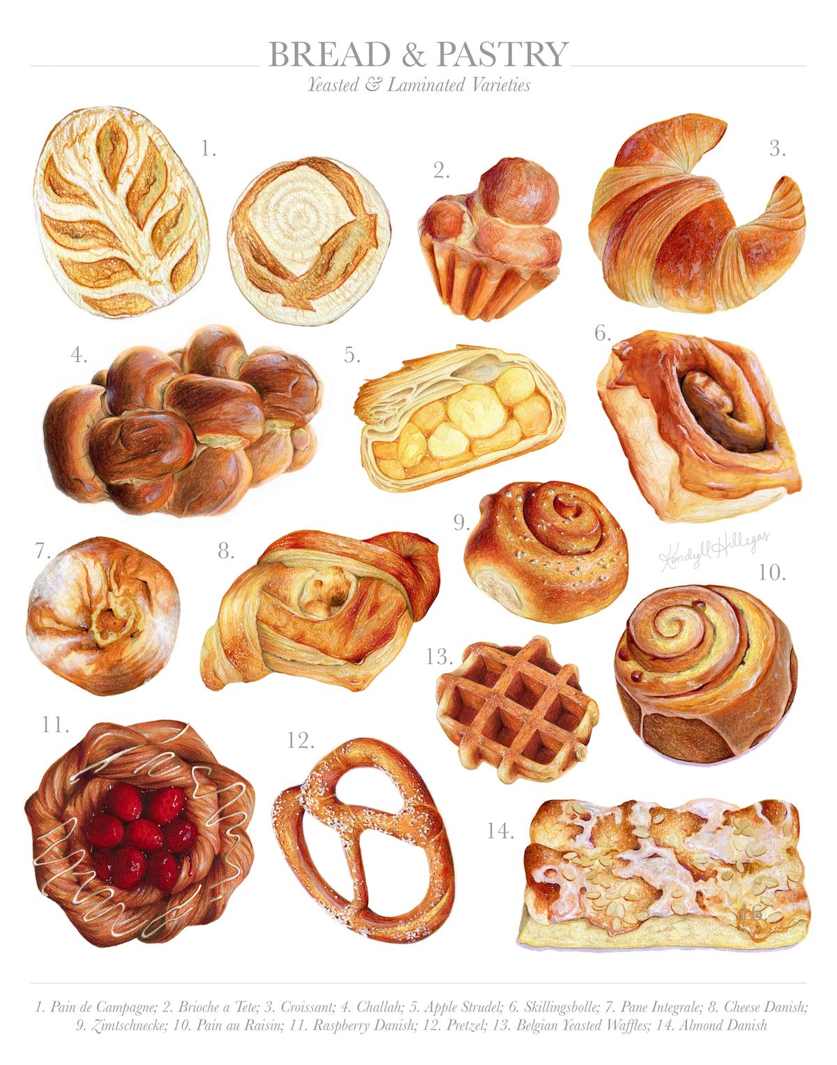 Water colour illustrations of pastries by Kendyll Hillegas https://kendyllhillegas.tumblr.com/post/144047550019/bread-pastry